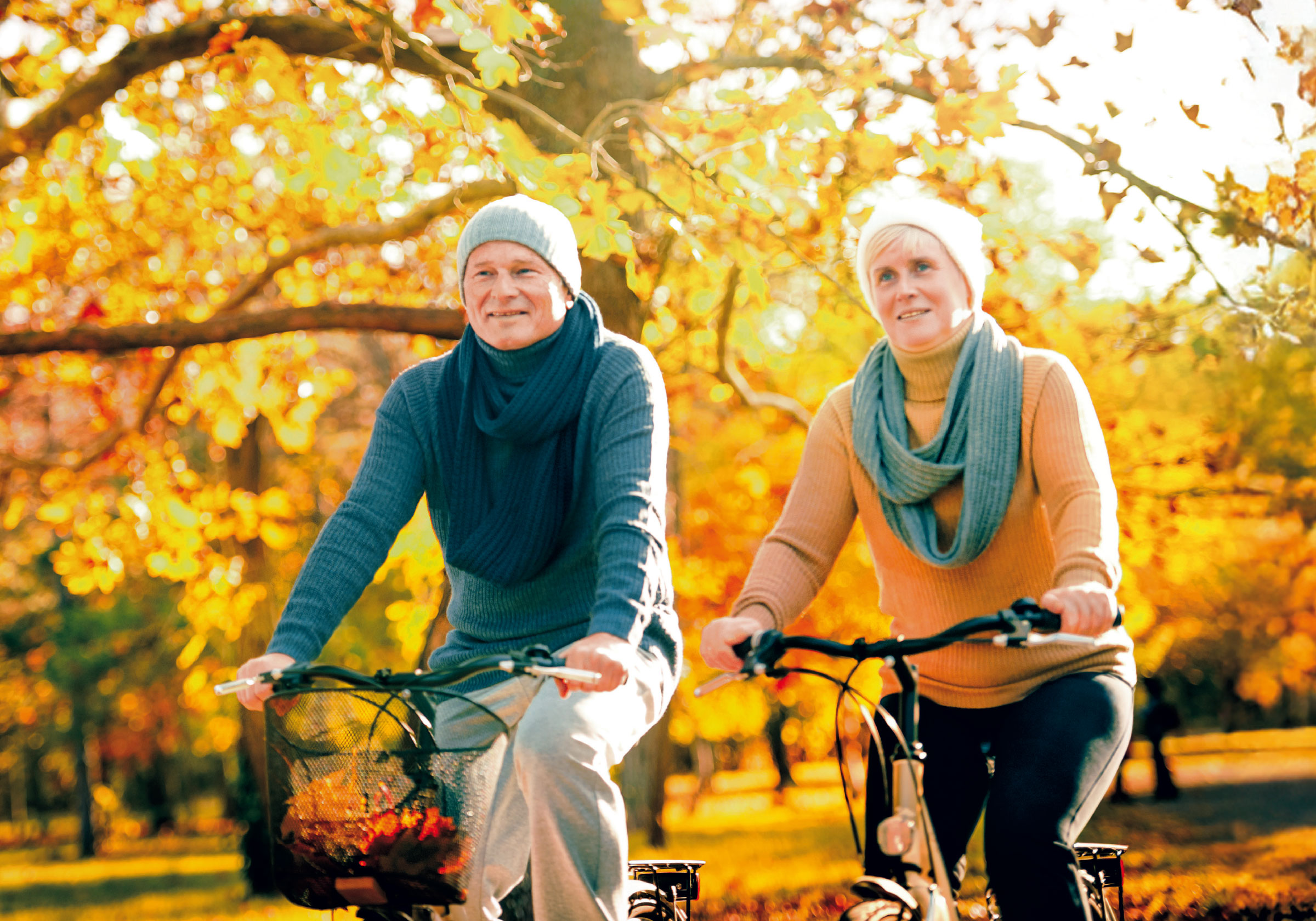 Älteres Paar auf dem Fahrrad in einem herbstlichen Wald.